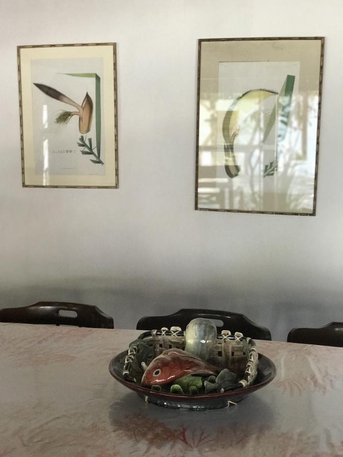 Casa Amor Do Mar Armacao dos Buzios Ngoại thất bức ảnh