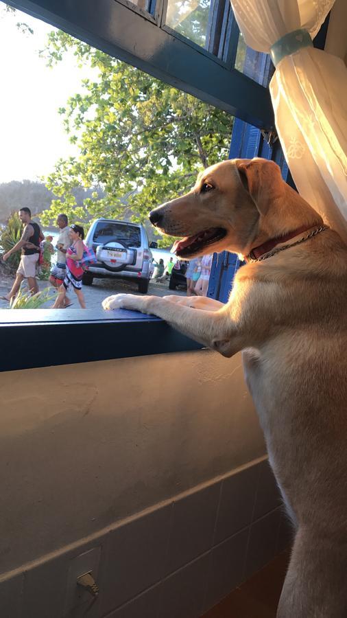 Casa Amor Do Mar Armacao dos Buzios Ngoại thất bức ảnh